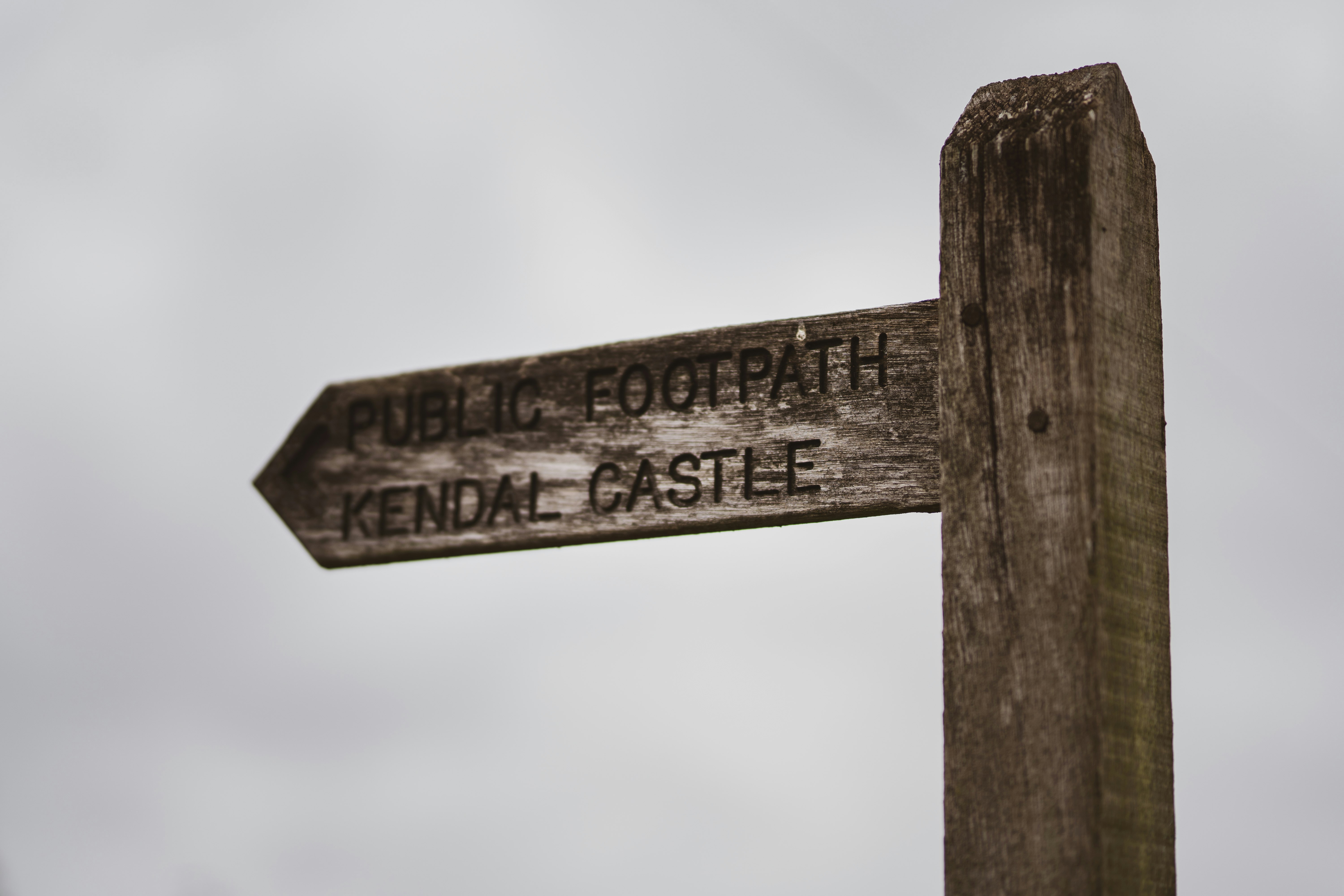 brown wooden signage under white sky during daytime